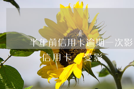 半年前信用卡逾期一次影響貸款嗎（一次逾期還信用卡會受影響嗎）