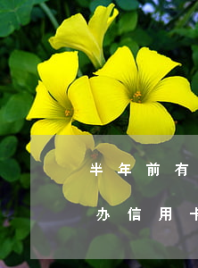 半年前有逾期现在能办信用卡(当前有逾期能办信用卡吗)