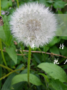 半掛車撞人導(dǎo)致死亡怎么賠償(半掛車把人撞了怎么保險(xiǎn)理賠)