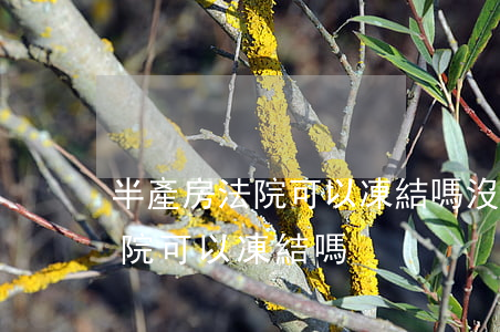 半產房法院可以凍結嗎(沒下房產證的房子法院可以凍結嗎)