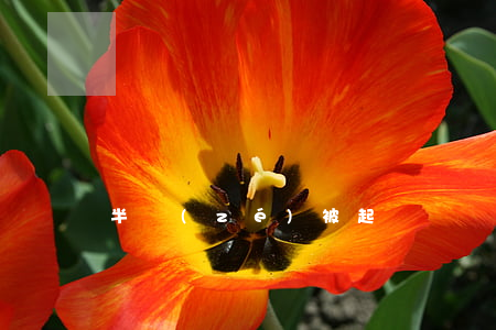 半責(zé)被起訴