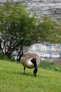 半路夫妻我想離婚這怎么辦