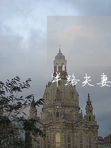 半路夫妻離婚怎么辦
