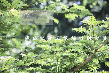 华信逾期应该起诉到哪里
