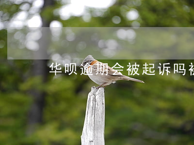 华呗逾期会被起诉吗(被还呗诉讼)