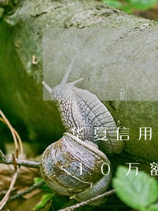 华夏信用卡2万逾期半年多（华夏银行信用卡10万额度逾期）