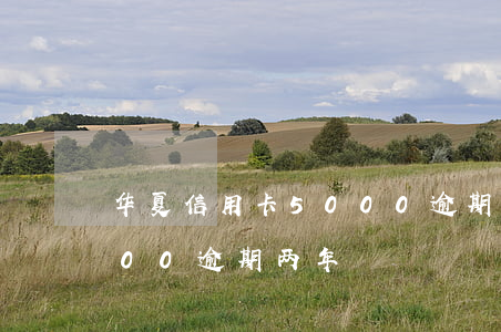 华夏信用卡5000逾期了2年(信用卡5000逾期两年)