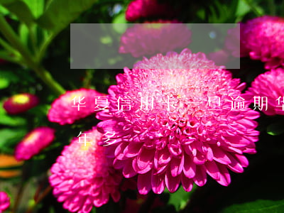 华夏信用卡一旦逾期(华夏信用卡2万逾期半年多)
