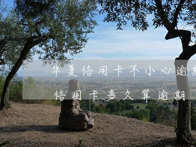 华夏信用卡不小心逾期了怎么办(华夏银行的信用卡多久算逾期)