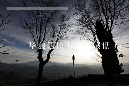华夏信用卡利息最低