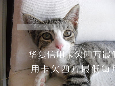 华夏信用卡欠四万最低每月还多少-华夏信用卡欠四万最低每月还多少钱