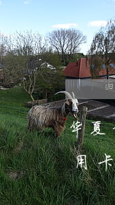 华夏信用卡逾期8天了是否上征信-华夏信用卡逾期8天了是否上征信了