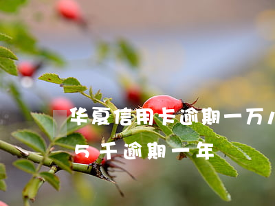 华夏信用卡逾期一万八半年(华夏银行信用卡5千逾期一年)