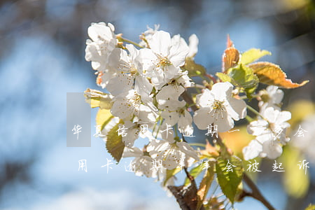华夏信用卡逾期一万多会起诉吗-一万五信用卡逾期半年会被起诉吗