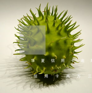 华夏信用卡逾期上门概率大吗-欠华夏银行信用卡两万三,逾期半年了,会做牢吗