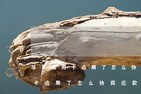 华夏信用卡逾期了怎么协商还款-华夏信用卡逾期了怎么协商还款