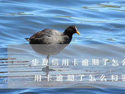 华夏信用卡逾期了怎么和银行协商-华夏信用卡逾期了怎么和银行协商还款