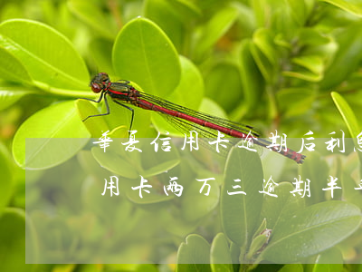 华夏信用卡逾期后利息违约金(欠华夏银行信用卡两万三,逾期半年了,会做牢吗)