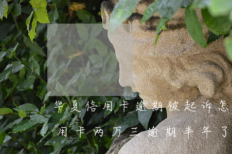 华夏信用卡逾期被起诉怎么办(欠华夏银行信用卡两万三,逾期半年了,会做牢吗)
