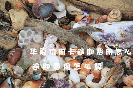 华夏信用卡逾期费用怎么算(信用卡5000逾期费用怎么算)