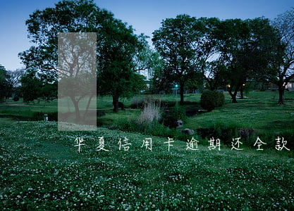 华夏信用卡逾期还全款(华夏信用卡跨行还款)