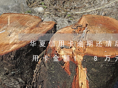 华夏信用卡逾期还清后受限制(欠华夏银行信用卡金额1.8万元三年未还)