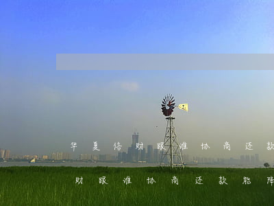 华夏信财跟谁协商还款能降到最低-华夏信财跟谁协商还款能降到最低额度