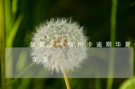 华夏金卡信用卡 逾期(华夏信用卡2万逾期半年多)