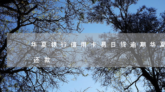 华夏银行信用卡易日贷逾期(华夏易日贷无法还款)