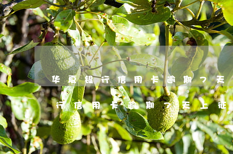 华夏银行信用卡逾期7天上征信吗-华夏银行信用卡逾期7天上征信吗有影响吗