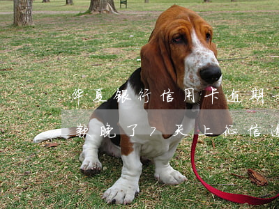 华夏银行信用卡逾期一天上黑名 华夏银行还款晚了7天上征信逾期吗