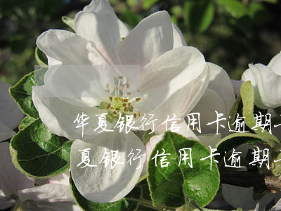 华夏银行信用卡逾期七天会有什么后果-华夏银行信用卡逾期七天会有什么后果吗