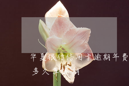 华夏银行信用卡逾期年费(华夏银行的信用卡多久算逾期)