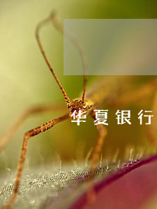 华夏银行免息期分期(华夏银行免息期分期)