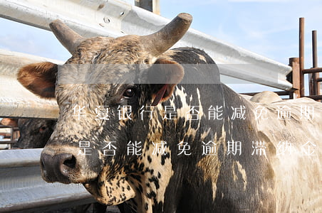 华夏银行是否能减免逾期滞纳金-华夏银行是否能减免逾期滞纳金呢