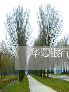 华夏银行申请停息挂账 华夏银行怎么停卡
