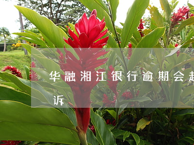 华融湘江银行逾期会起诉吗(华融湘江银行 投诉)