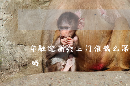 华融逾期会上门催收么(深圳融关会上门催收吗)