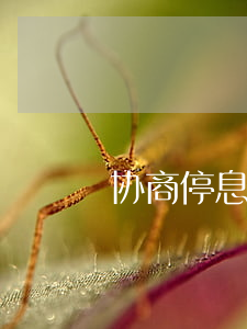 协商停息挂账成功后会有什么凭证