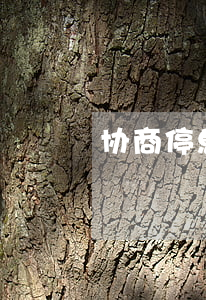 协商停息挂账需要多久才办理成功