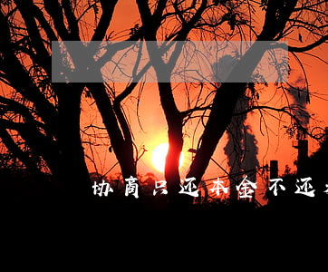 协商只还本金不还利息(协商逾期只还本金)