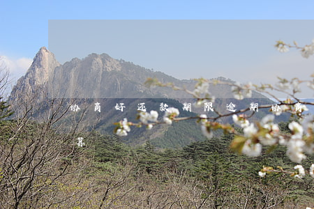 协商好还款期限逾期(协商还款期间逾期怎么算?)