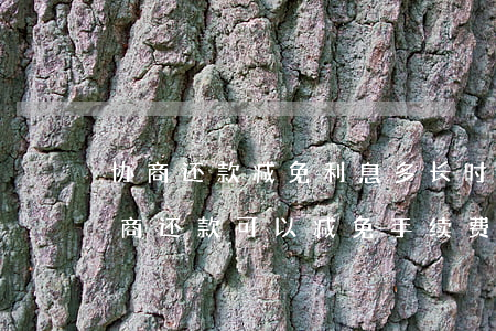 协商还款减免利息多长时间可以减免完-协商还款可以减免手续费吗