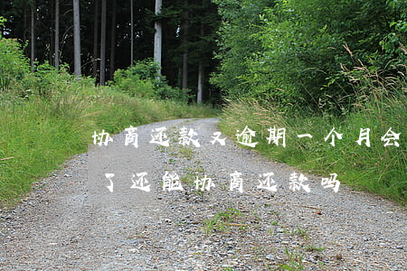 协商还款又逾期一个月会怎么样(逾期快一年了还能协商还款吗)