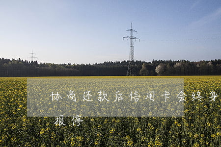 协商还款后信用卡会终身停用吗（协商信用卡报停）