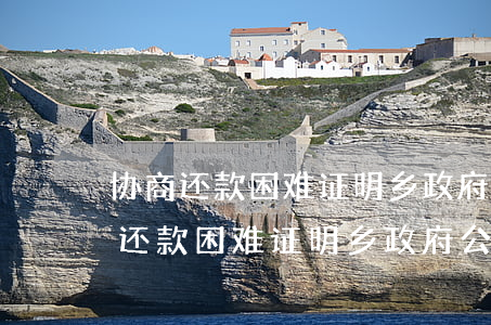 协商还款困难证明乡政府公章好开吗-协商还款困难证明乡政府公章好开吗怎么写