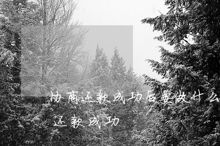 协商还款成功后要做什么手续（如何确定协商还款成功）
