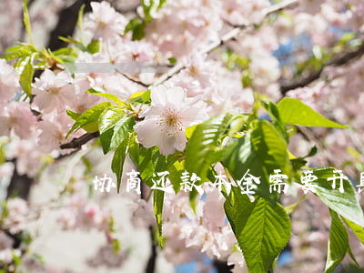 协商还款本金需要开具结清证明吗