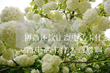协商还款让寄电话卡什么意思-协商还款让寄电话卡什么意思啊