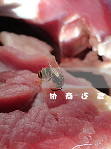 协商还款还逾期 协商还款后再次逾期